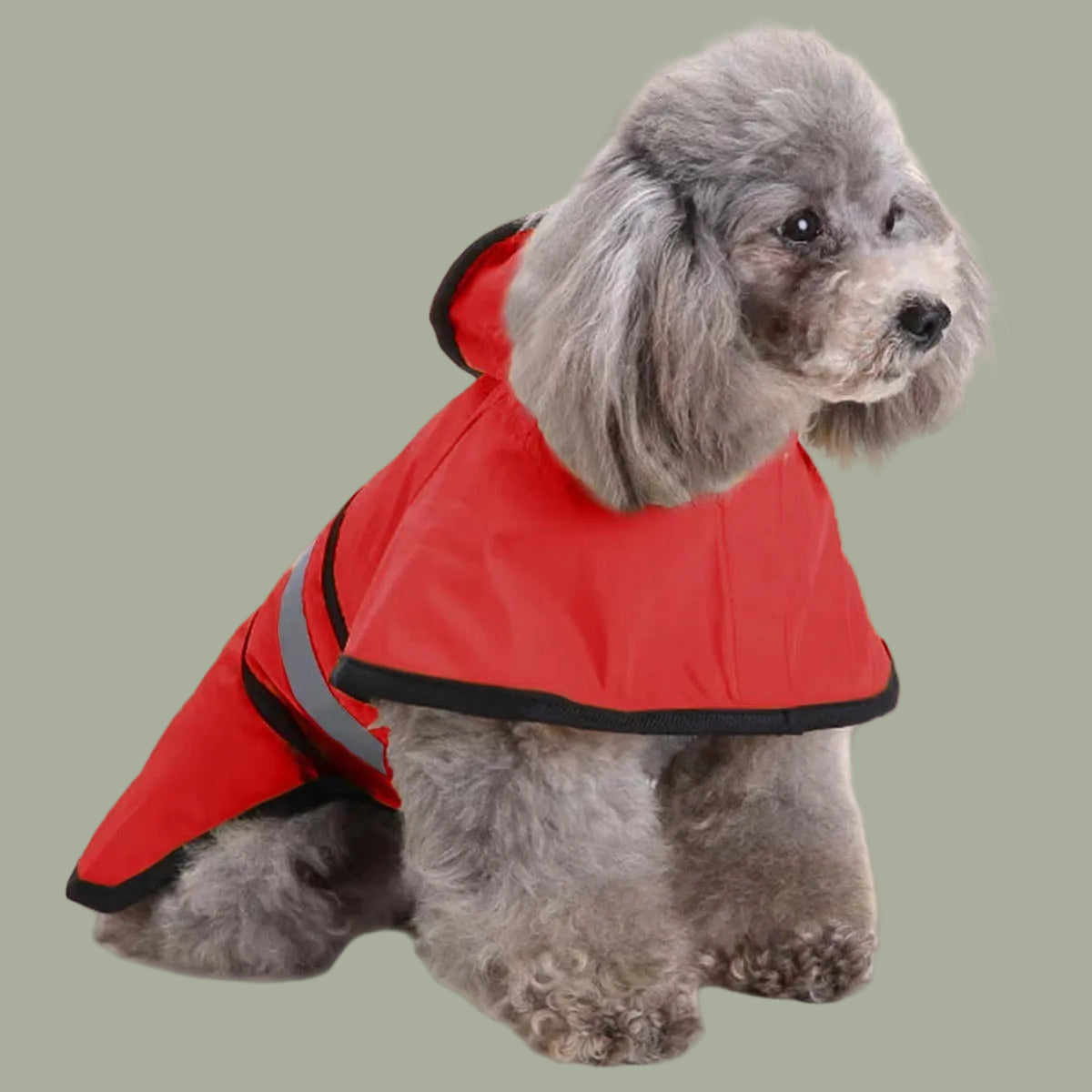 Dog Raincoat Reflective Dog Clothes Small Dog Bibi Teddy Four Seasons Universal Raincoat Pet Supplies