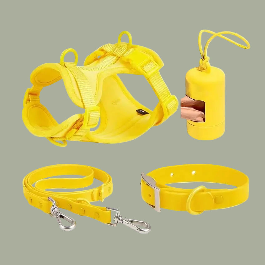 Luxury Waterproof PVC Neoprene Pet Poop Bag Dispenser Set, Dog Harness, Leash Collar Set for Dog, High Quality