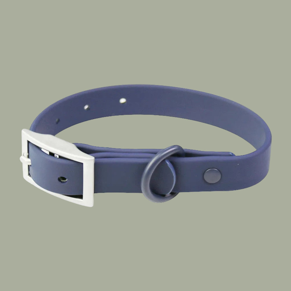 Navy blue dog collar with a silver buckle on a white background