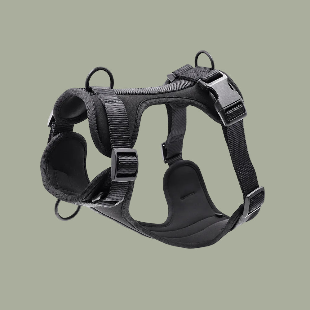 New Waterproof PVC Pet Dog Leash Small And Medium-Sized Dog Anti Bite Chest Strap Dog Leash