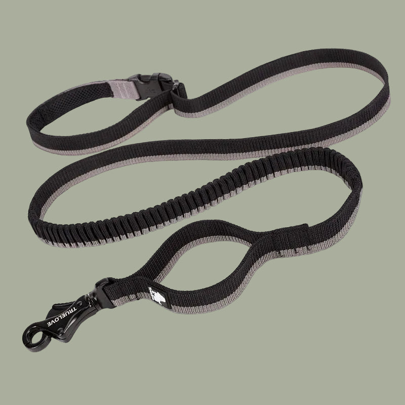 Pet dog leash with elastic cushioning suitable for outdoor activities such as running and waist tying