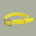 New Waterproof PVC Pet Dog Leash Small And Medium-Sized Dog Anti Bite Chest Strap Dog Leash