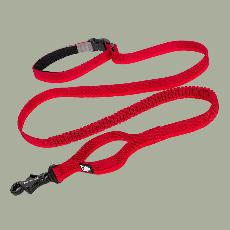 Pet dog leash with elastic cushioning suitable for outdoor activities such as running and waist tying