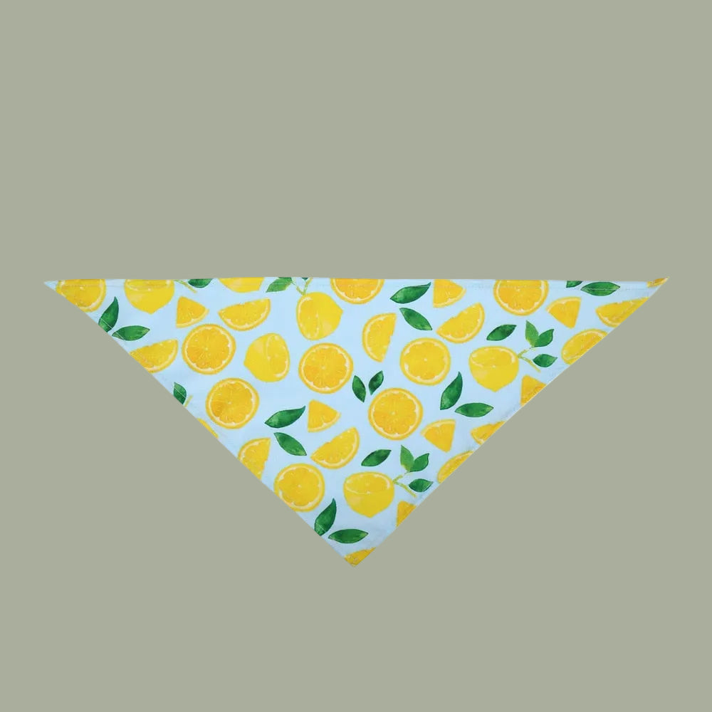 Fruit Print Pet Dog Bandana Small Dog Cat Scarf Adjustable Cotton Dog Puppy Bandanas Bibs Summer Pet Dog Grooming Accessories