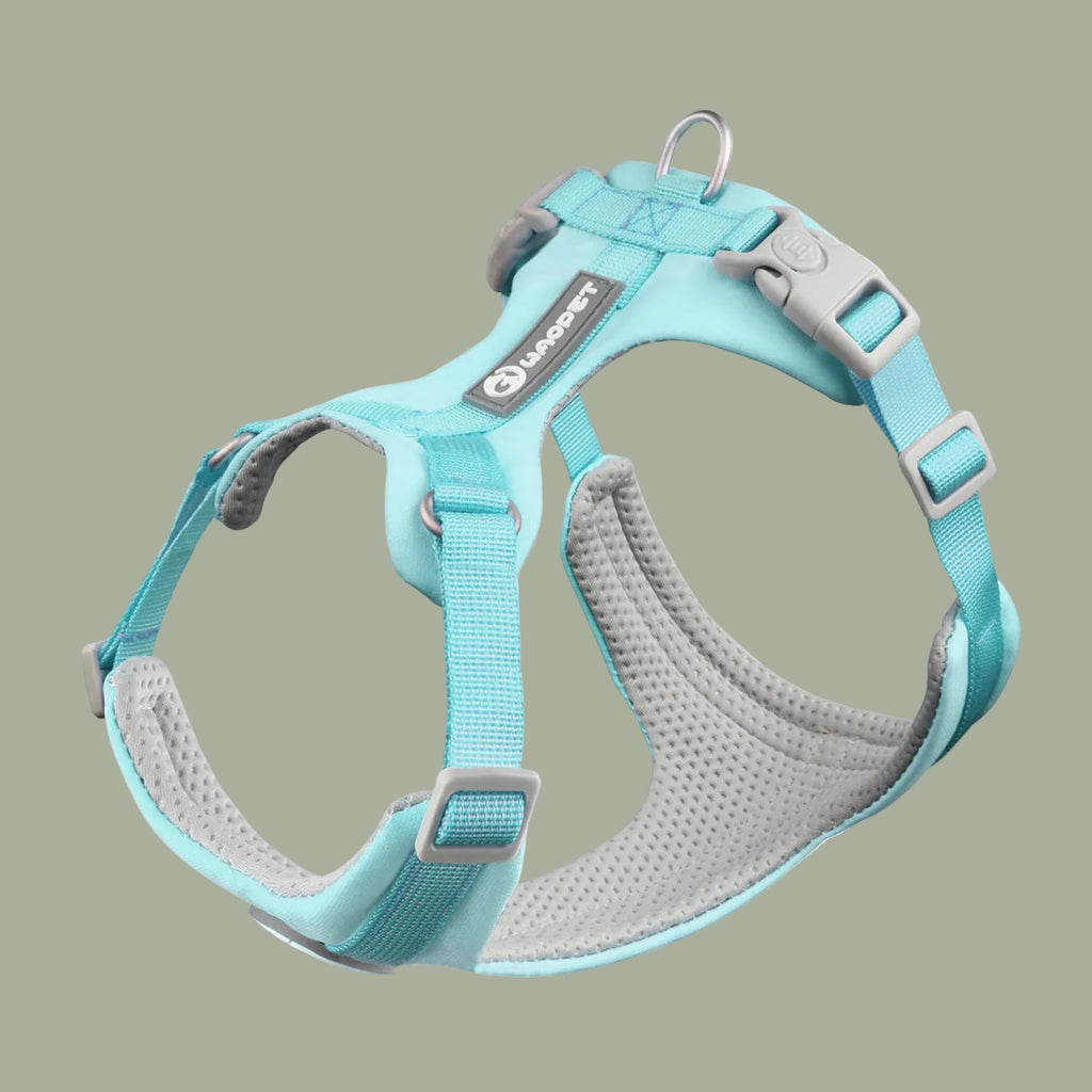 Whippet Anti-Slip Dog Harness Lightweight Dog Harness Breathable and Durable Adjustable Vest for Medium-Sized Dog Greyhounds