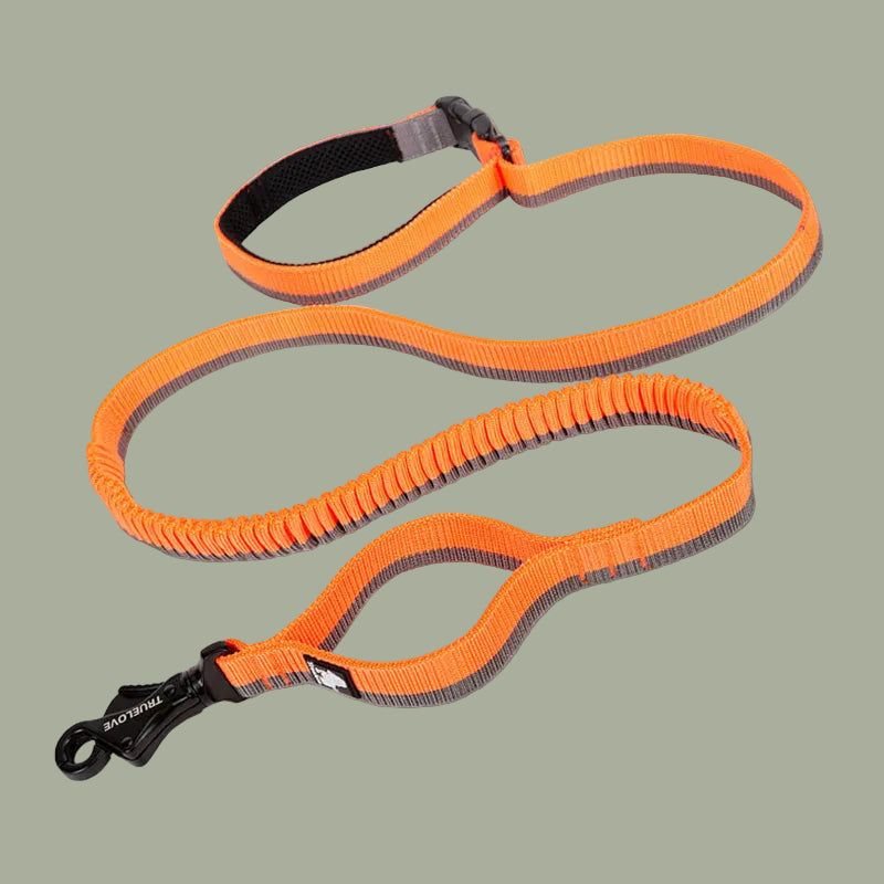 Pet dog leash with elastic cushioning suitable for outdoor activities such as running and waist tying