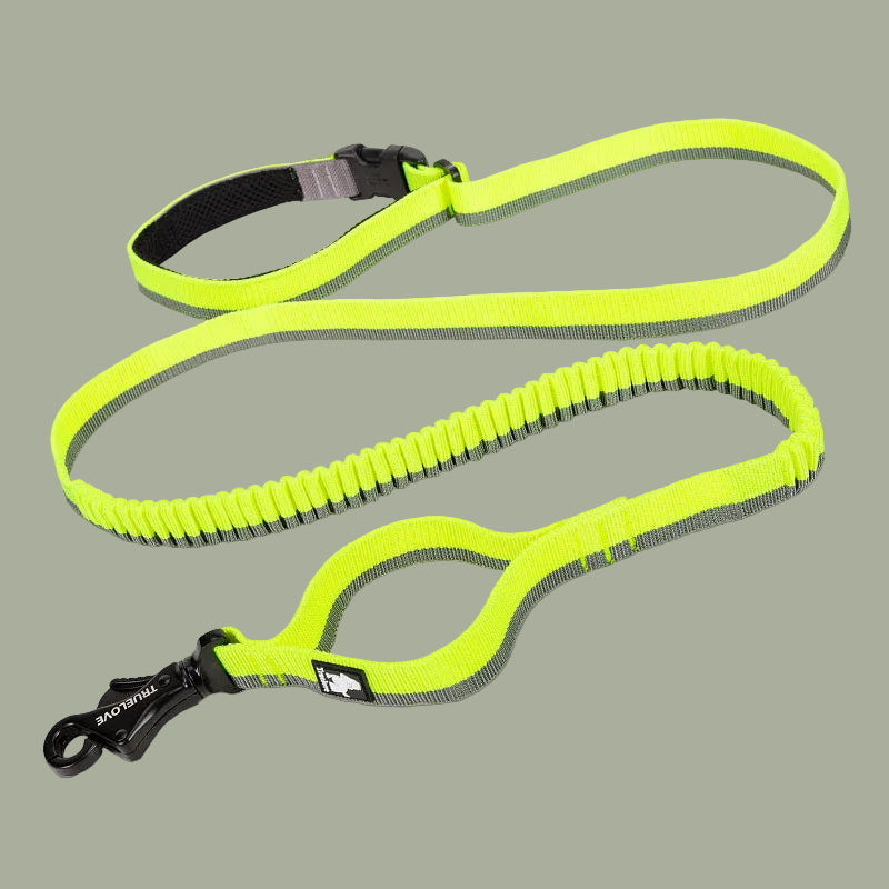 Pet dog leash with elastic cushioning suitable for outdoor activities such as running and waist tying