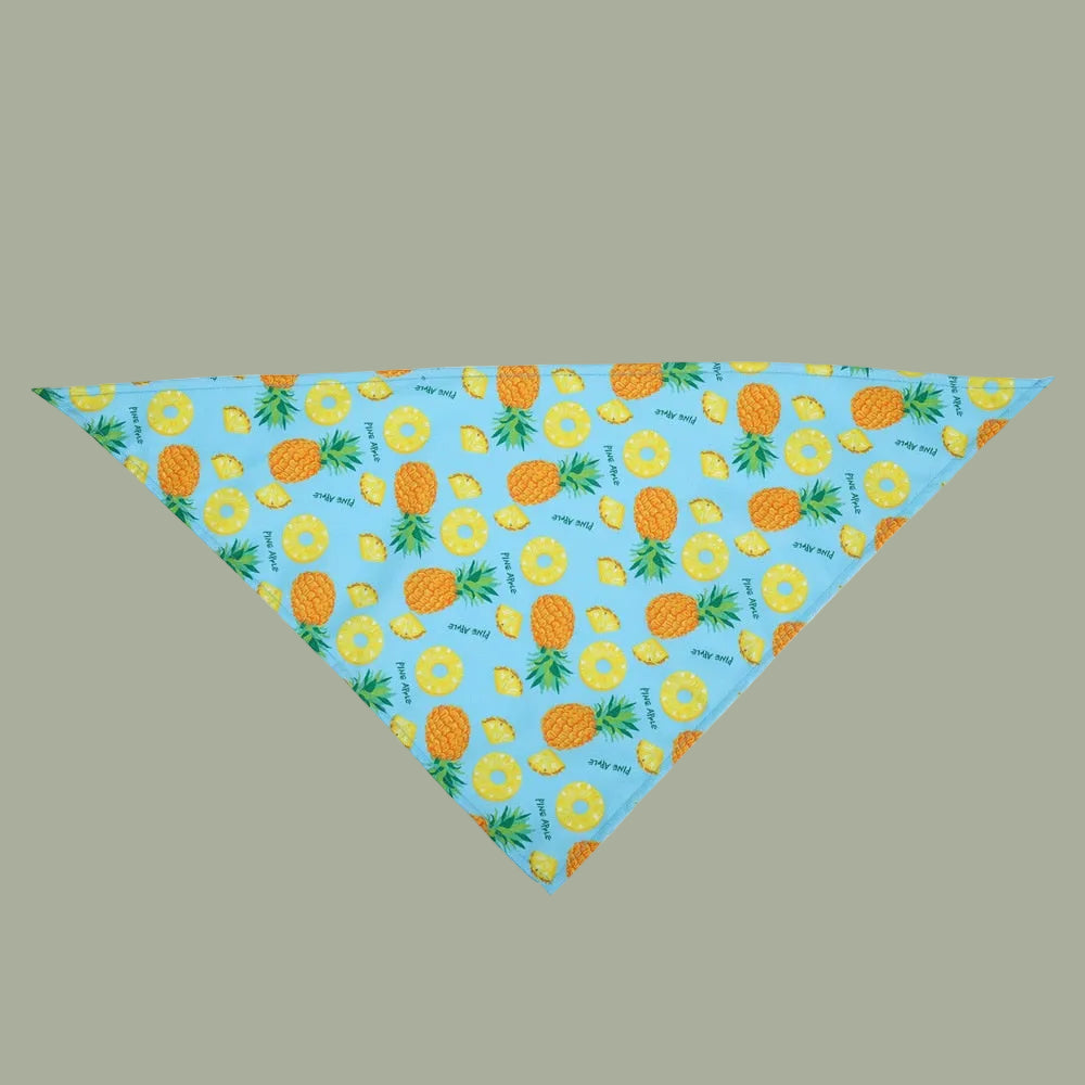 Fruit Print Pet Dog Bandana Small Dog Cat Scarf Adjustable Cotton Dog Puppy Bandanas Bibs Summer Pet Dog Grooming Accessories