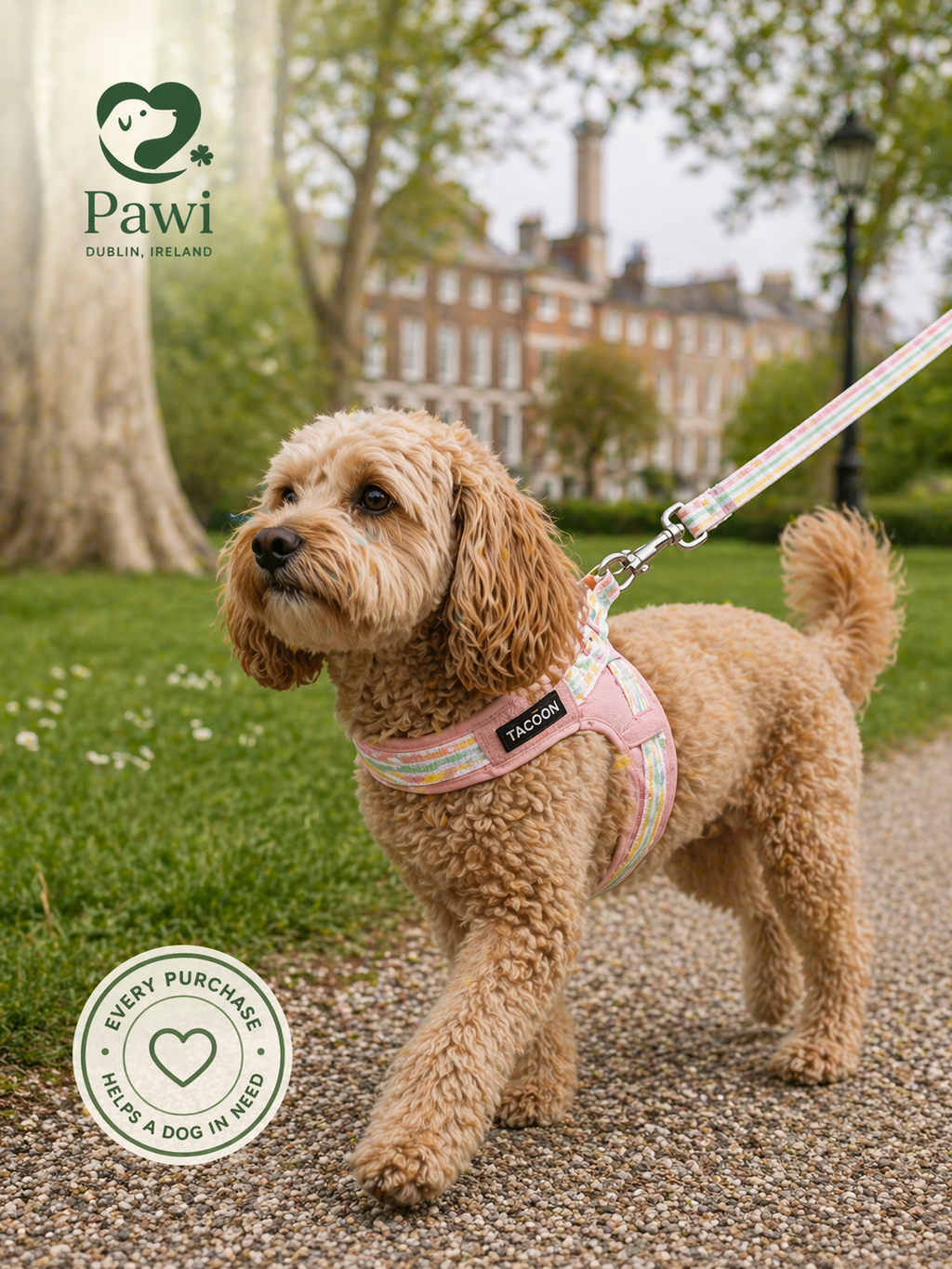 Dog leash chest strap vest style small and medium-sized dog