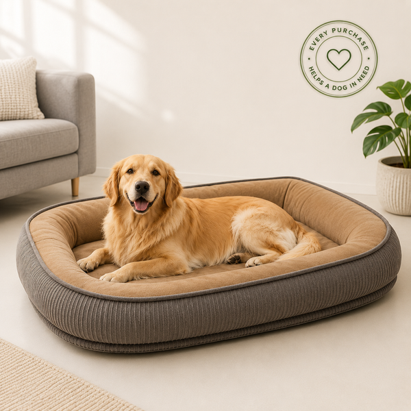 Dog House Winter Warm Removable Washable All-Season Dog Cage Dog Bed Cat Bed Pet Dog House Semi-Enclosed Cat Pad
