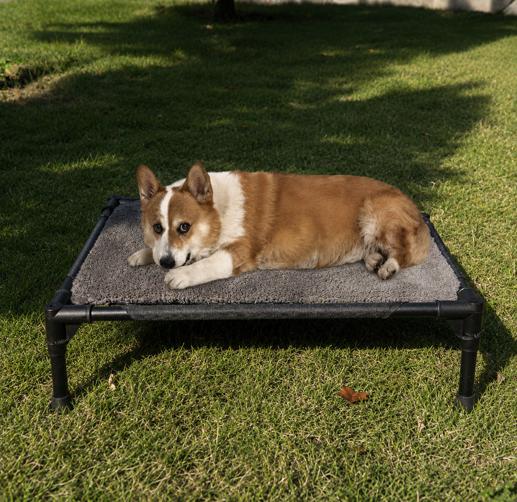 Pet camping marching bed small and medium-sized dogs moisture-proof folding bed cat and dog bed detachable pet tent