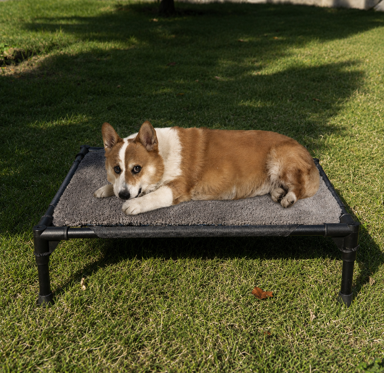 Pet camping marching bed small and medium-sized dogs moisture-proof folding bed cat and dog bed detachable pet tent
